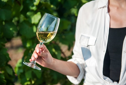 vin blanc à deguster pour aperitif 